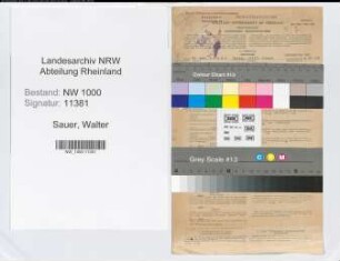 Entnazifizierung Walter Sauer, geb. 09.07.1900 (Arzt)