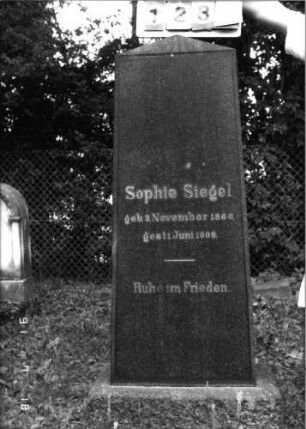 Grabstein 1235 [Hahn S. 197 Grab-Nr. 1889]