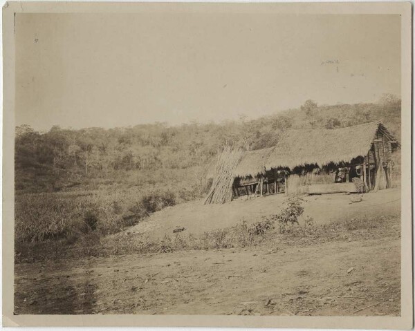 Combination of hut and corn shed at the Chiriguano