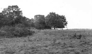 Vysoký (Hohenwald). Holländermühle, Ruine