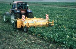 Fotografie: Erntetechnik, Zuckerrübe, Frontköpfer, Rückfahreinrichtung