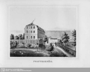 Pfaffengrün