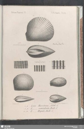 Pl. 424