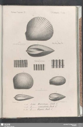 Pl. 424