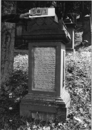 Grabstein 561 (Index: 99791000) Maße HxBxT: 148x58x52 cm Symbolik: nach unten gehaltene Fackeln: Grabstein 561
