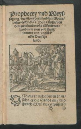 Und als er nahe hinzu kam/ sahe er die Stadt an/ und sprach ...