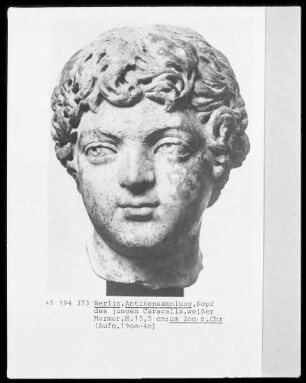 Kopf des jungen Caracalla