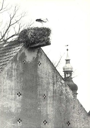 Storchennest in der Oberlausitz : Land- und Viehwirtschaft - Geflügelzucht. Ort: Hornja Łužica / Oberlausitz. Storchennester