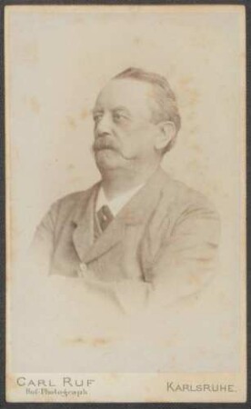Fieser, Emil August Friedrich, Nationalliberale