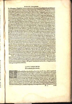 Capvt Vndecimvm, De tendinibus, siue chordis