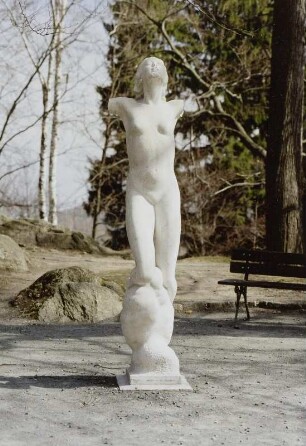Weiblicher Torso