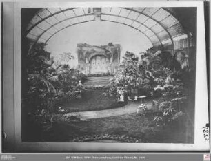 Neues Palmenhaus im Palmengarten