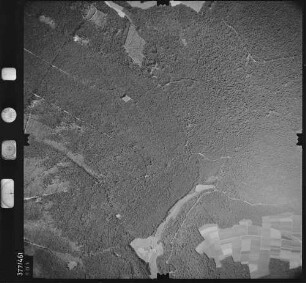 Luftbild: Film 29 Bildnr. 501
