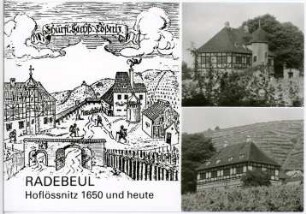 Radebeul. Schloss Hoflößnitz 1650 und heute