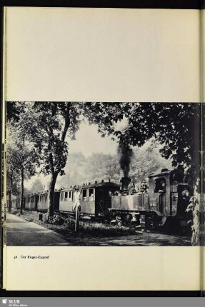 48 Der Rügen-Expreß