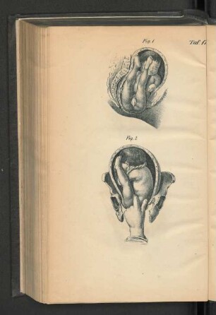Taf. 17.