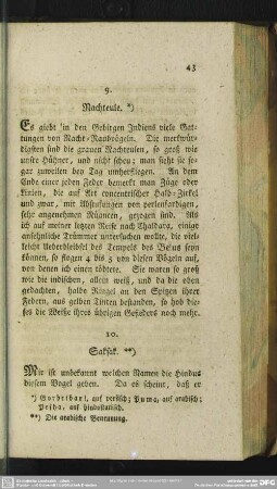 9. Nachteule