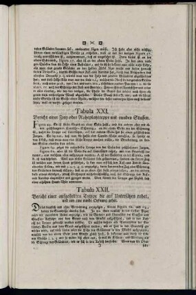 Tabula XXII. Bericht einer aufgestellten Treppe die auf Untersätzen ruhet, und um eine runde Oefnung gehet.