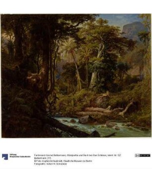 Waldpartie und Bach bei San Esteban