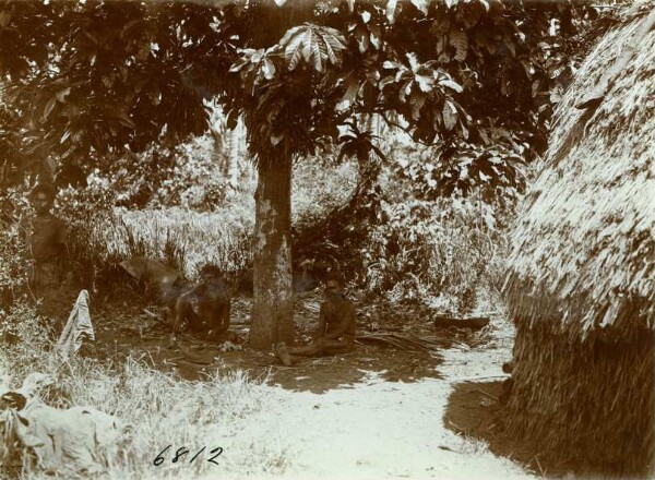 "Cabane. Tanna".