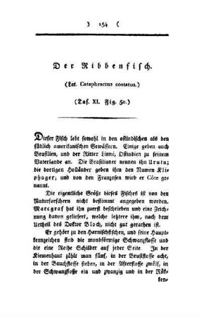 ¬Der¬ Ribbenfisch : (Lat. Cataphractus costatus) ; Taf. XI, Fig. 50