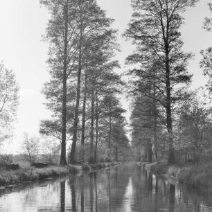 Hochwald in Leipe. : Wysokolěs w Lipjem.