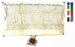 Lehenrevers mit Vollmacht für Ludwig Casimir von Stetten zu Kochenstetten, 1656.