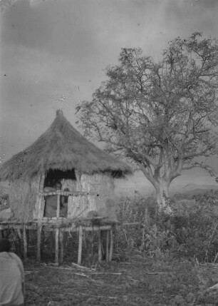 Hütte der Konso : Eine strohgedeckte Hütte mit einem Mann der Konso.