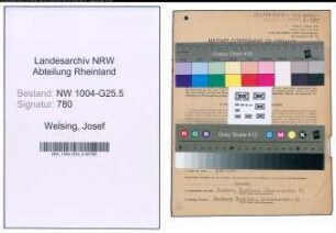 Entnazifizierung Josef Welsing , geb. 07.05.1894 (Metzgermeister)