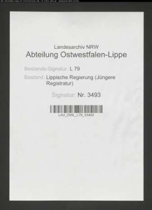 Kommunalwegebau Voranschläge und Rechnung des Amtes Sternberg-Barntrup, Band 2