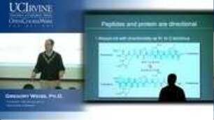 Lecture 10. Proteins and Amino Acid Conformations.