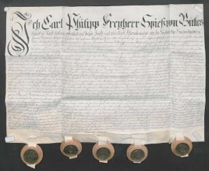 Instrumentum probationis des Karl Philipp Spies von Büllesheim zu Rath.