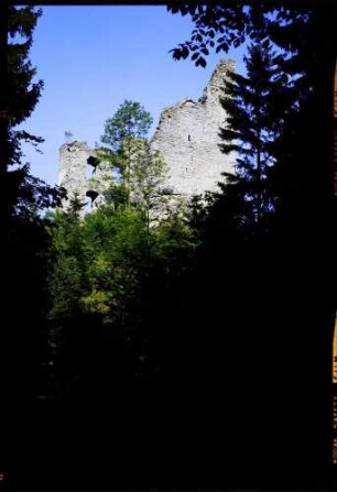 Herrenzimmern: Burg Herrenzimmern, vom hinteren Burgplatz