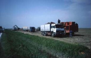 Fotografie: Transportgerät, LKW, Be- und Entladen, Zuckerrübenköpfrodebunker selbstfahrend