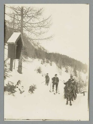 Begegnung vor Mittenwald : Mittenwald. Skiläufer im Wald