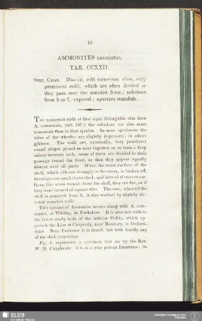 Ammonites annulatus. Tab. CCXXII