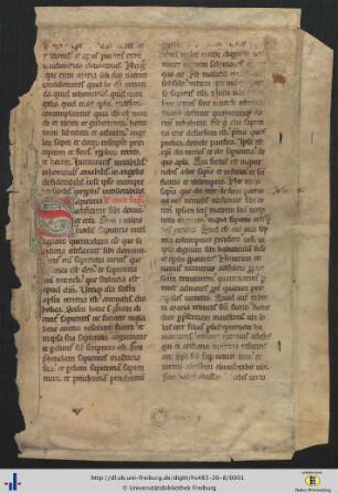 Lateinischer theologischer Traktat, Fragment