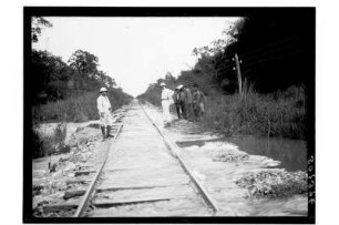 Überspülte Eisenbahnstrecke : Südthailand. Begehung einer vom Hochwasser überspülten Eisenbahnstrecke, 1908/1909