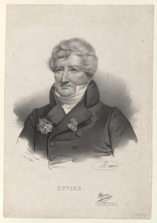 Bildnis des Cuvier