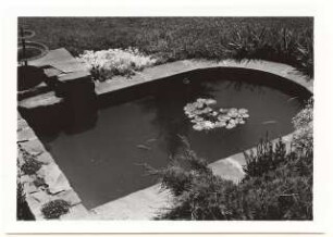 Garten Reinicke, Berlin-Zehlendorf: Wasserbecken mit Seerosen