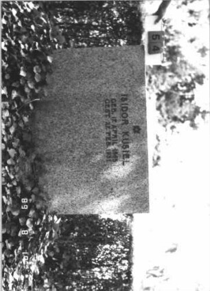 Grabstein 54 (Index: 100109084) Material: polierter Granit, Metallbuchstaben Zustand: sehr gut Maße HxBxT: 112x119x19 cm Beschreibung: Stele, breit Symbolik: Davidstern: Grabstein 54
