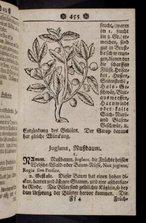 455-466, Juglans - Lactuca