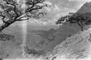 Abfall des Simien Gebirges : Blick von der Bergstraße auf den Abfall des Simien Gebirges bei Debark.