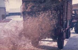 Fotografie: Miststreuer, Zweiachsanhänger, Be- und Entladen, Stroh