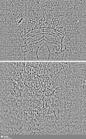 Lilienschild + IESV / LW 1 = S.3/4 + 11/12 zusammengesetzt