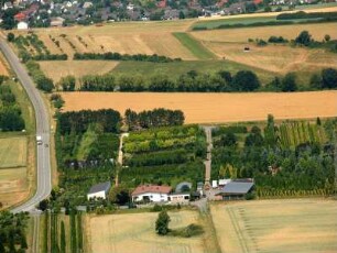 Malmeneich bei Elz