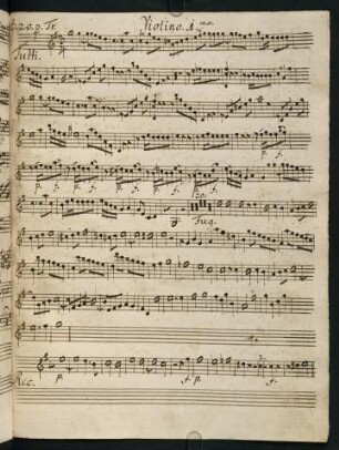 127-142, D. 20. p. Tr. - D. 27. p. Tr.