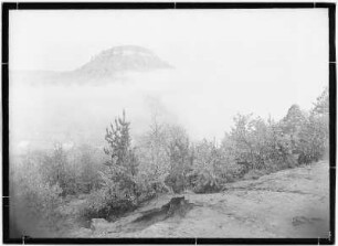 Festung Königstein im Morgennebel