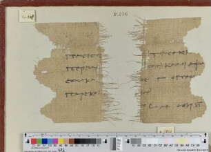 Fragment eines Zenon-Papyrus