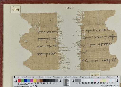 Fragment eines Zenon-Papyrus